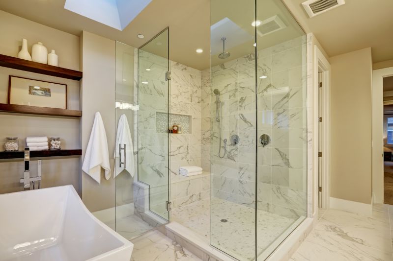 Elegant Frameless Shower